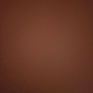 Meet your Posher, Ricky